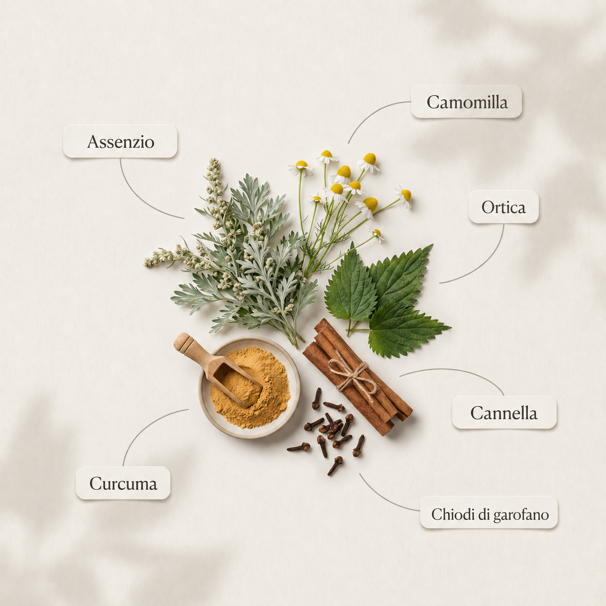 A styled flat-lay of natural ingredients on a light beige background with Italian labels pointing to each item: Assenzio, Camomilla, Ortica, Cannella, Curcuma, and Chiodi di garafano. The arrangement includes green and silver foliage, small yellow flowers, cinnamon sticks tied with string, a small bowl of golden turmeric powder with a wooden scoop, and scattered cloves.