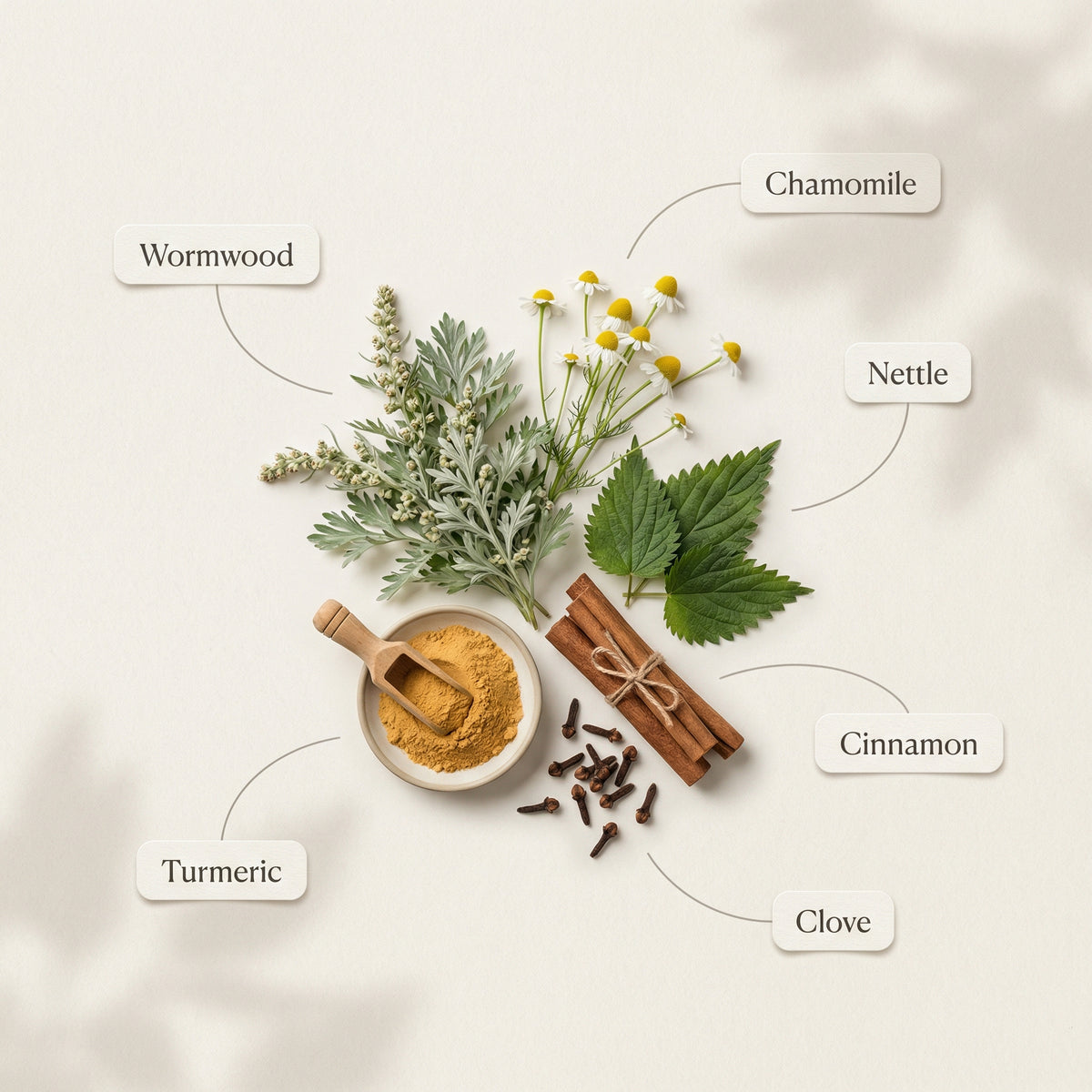 A styled flat-lay of herbal ingredients on a light cream background with soft shadows. Visible elements include a small bowl of yellow turmeric powder with a wooden scoop, cinnamon sticks tied with string, loose cloves, green wormwood and nettle leaves, chamomile flowers, and a small cluster of brown roots.
