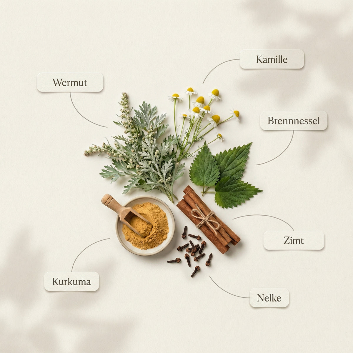 A styled flat-lay of herbal ingredients on a light cream background with soft shadows. Visible elements include a small bowl of yellow turmeric powder with a wooden scoop, cinnamon sticks tied with string, loose cloves, green wormwood and nettle leaves, chamomile flowers, and a small cluster of brown roots.
